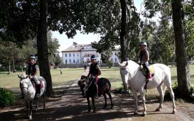 wycieczka fakultatywna